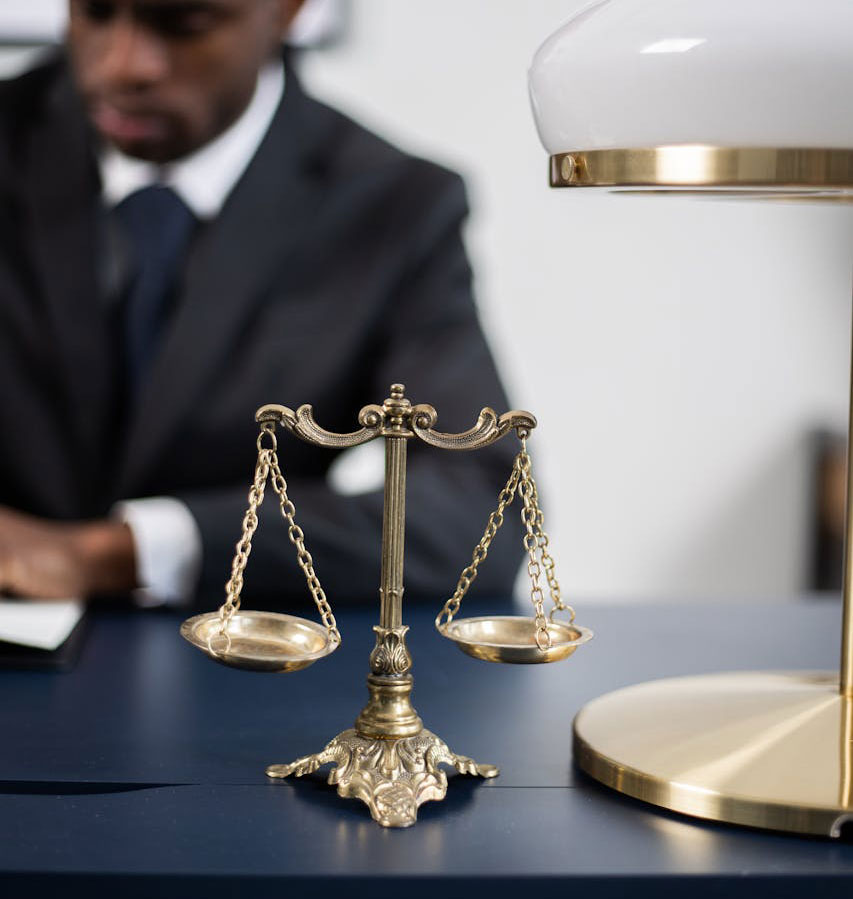Family Law Assistant Mission